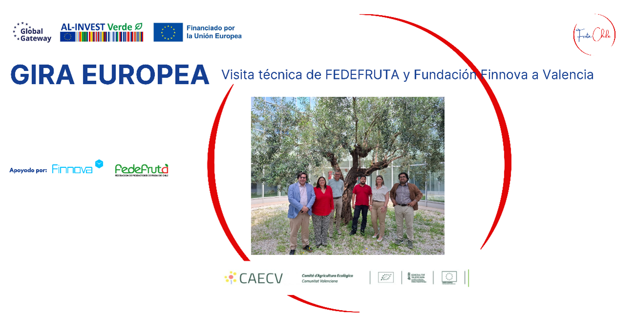 La delegación frutícola chilena de FEDEFRUTA visita Valencia en el marco del proyecto AL-INVEST Verde